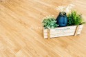 �������-���������� ������ SPC Alpine Floor ������� Royal ���. ECO6-4
