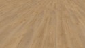 ������� Kronotex Robusto ��� ����������� ������� ���. D4955