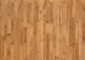 ��������� ����� Focus FLoor ��� ��������� ������� ��� 3� ���. 3011128168200175