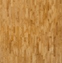   Focus Floor Smart   . 533655