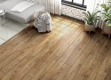  Westerhof Effect Premium  . PRK913