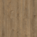 ������ SPC Alpine Floor Solo �������� ���. ��� 14-3
