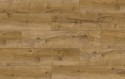 ������� Classen Harmony Forte 4V WR ��� ������� FSC ���. 56612