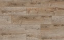 ������� Classen Harmony Forte 4V WR ��� ������ FSC ���. 56613
