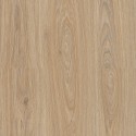 ������� FloorBee Cuberta Family ��� ����� ���. 8016