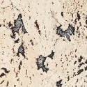 ��������� ������ IberCork ������ ������� ���. F1852