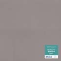  Tarkett Omnisports Action 40 Grey  2x20,5 (412) . 200212004