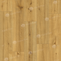 �������-���������� ������ SPC Alpine Floor ProNature Soledad ���. 62538