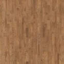 ��������� ����� Tarkett Salsa Premium ��� ����� ���� ���. 550170025