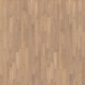 ��������� ����� Tarkett Salsa Premium ��� ������ ���� ���. 550170027