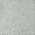 �������� Tarkett iQ ERA SC 805 ����� 2x23� ���. 300110006
