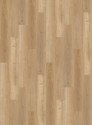 ������� SPC Royal Base ��� ���� ���. RFRB01