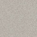�������� Tarkett Galaxy ������� 3 ������ 2,5� � �������