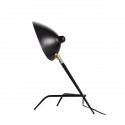 ������������ ����� ST Luce Spruzzo ���. SL305.404.01