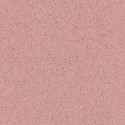 �������� ������������ ���������� Tarkett Primo Plus 307 ����� (23x2�) ���. 300021007