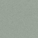 �������� ������������ ���������� Tarkett Primo Plus 311 ����� (23x2�) ���. 300021011