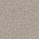�������� ������������ ���������� Tarkett Primo Plus 313 ����� (23x2�) ���. 300021013