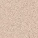 �������� ������������ ���������� Tarkett Primo Plus 301 ����� (23x2�) ���. 300021001