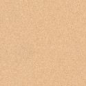 �������� ������������ ���������� Tarkett Primo Plus 304 ����� (23x2�) ���. 300021004