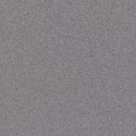 �������� ������������ ���������� Tarkett Primo Plus 314 ����� (23x2�) ���. 300021014