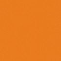 �������� Tarkett Omnisports Action 65 Orange ����� 2x20,5� (41�2) ���. 200207009