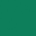 �������� Tarkett Omnisports Action 65 Field Green ����� 2x20,5� (41�2) ���. 200207001