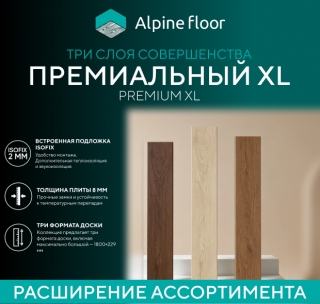 ����� ������! �������-���������� ������ SPC Alpine Floor Premium XL